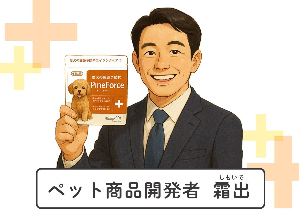 開発者 霜出