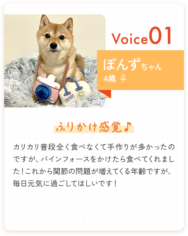 ぽんずちゃん 4歳 - ふりかけ感覚♪