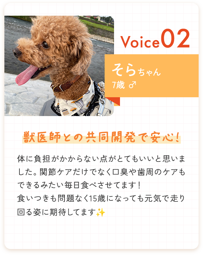 そらちゃん 7歳 - 獣医師との共同開発で安心！
