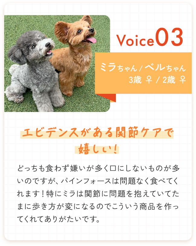 ミラちゃん・ベルちゃん - エビデンスがある関節ケアで嬉しい！