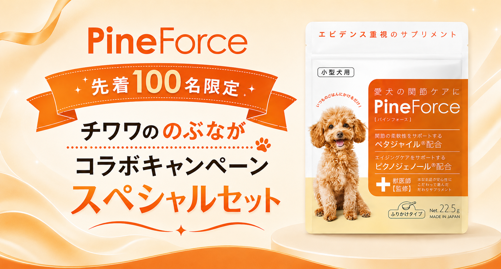 のぶながCP