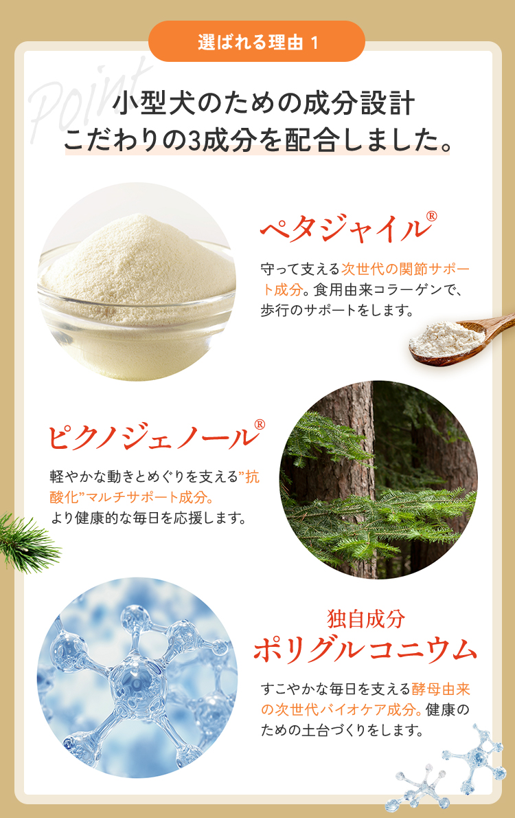選ばれる理由1