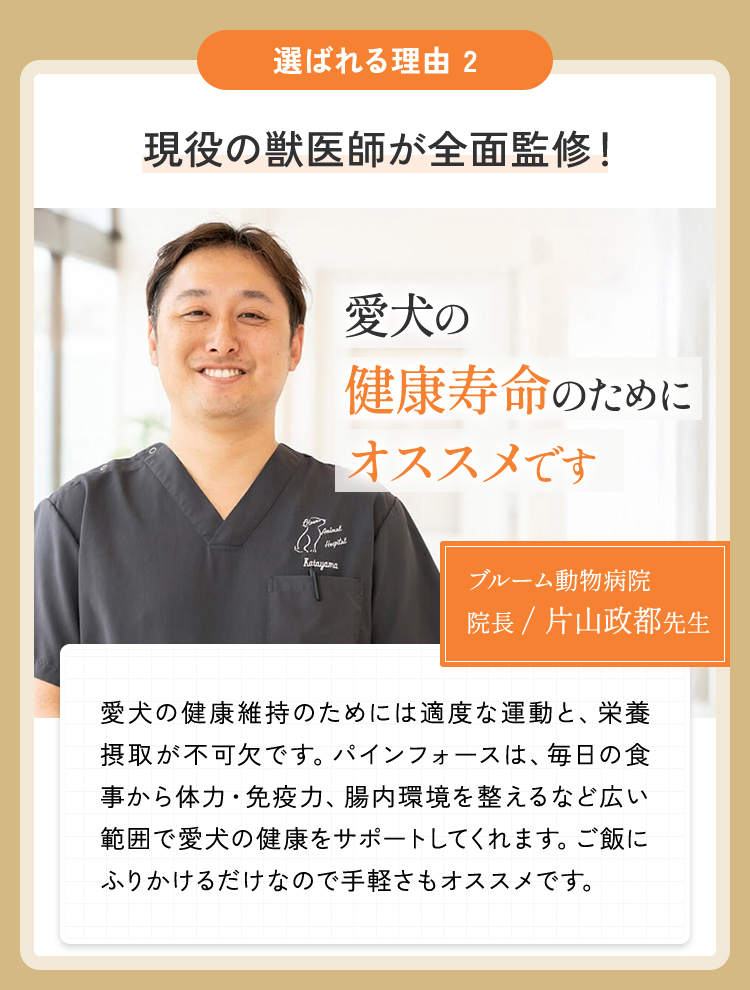 選ばれる理由2