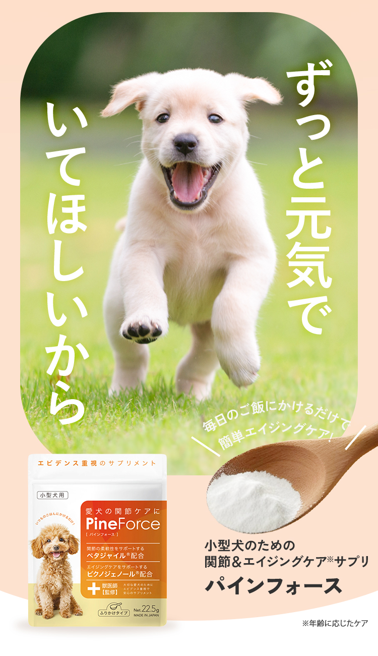 ずっと元気でいてほしいから