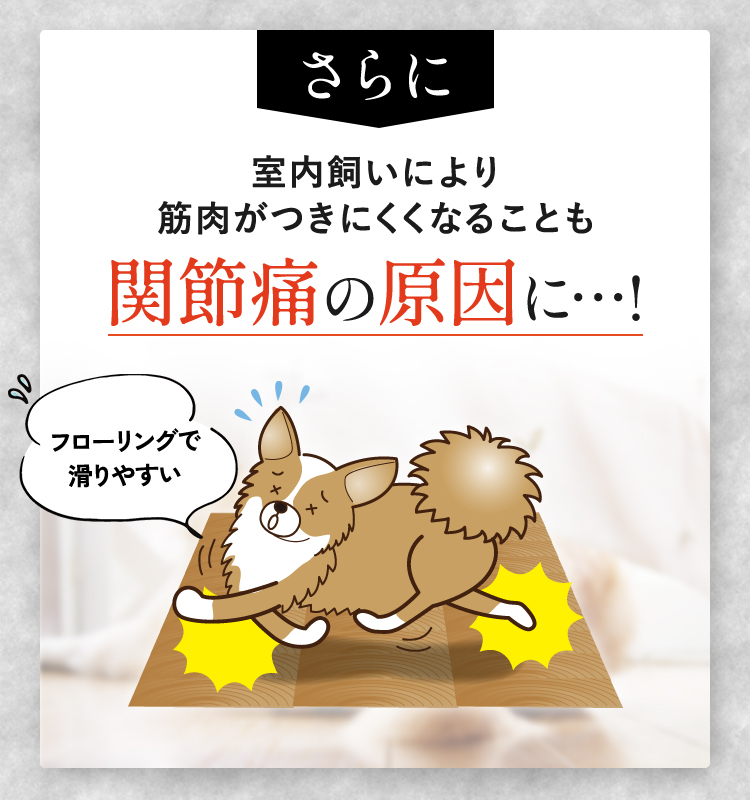 関節痛の原因に