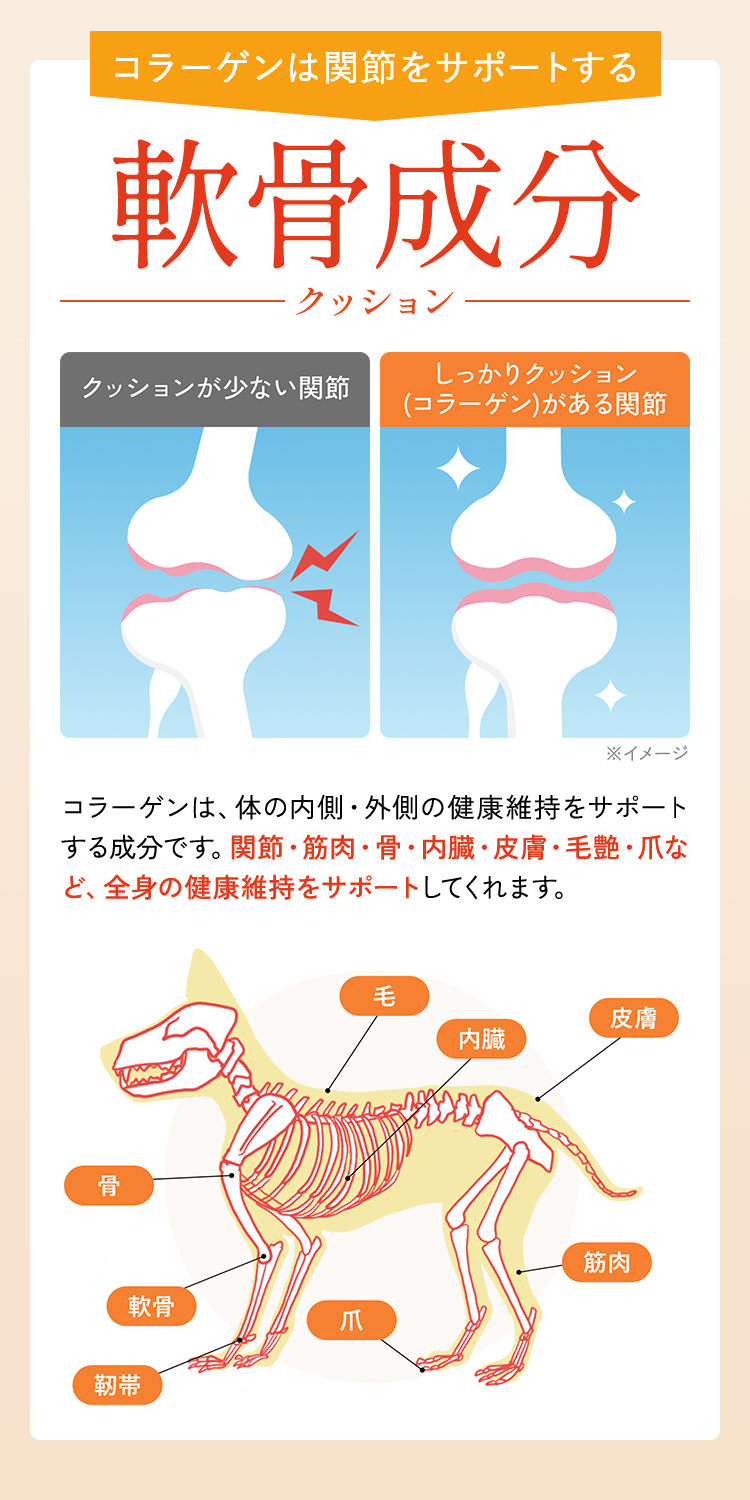 軟骨成分