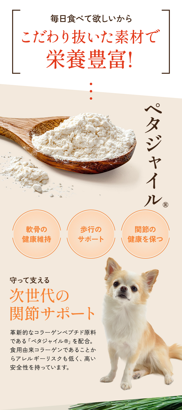 ペタジャイル