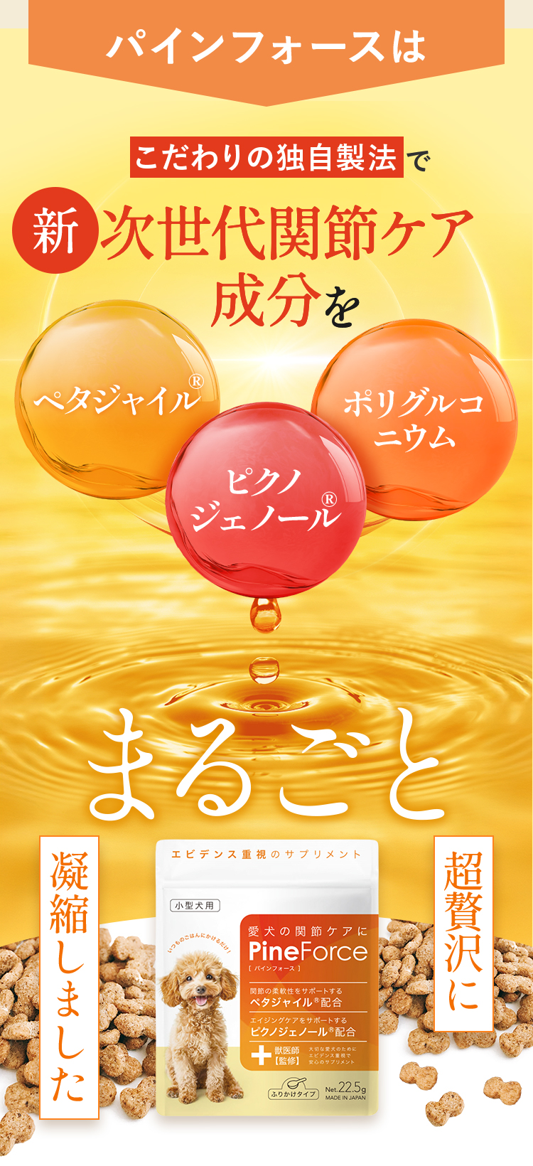 まるごと凝縮