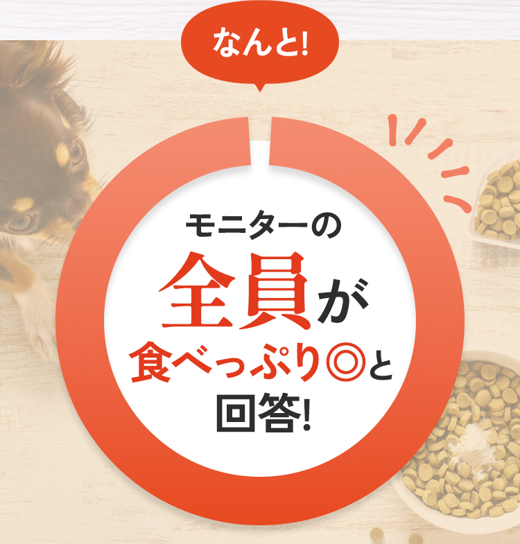 食べっぷり◎