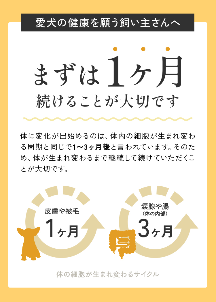 まずは1ヶ月