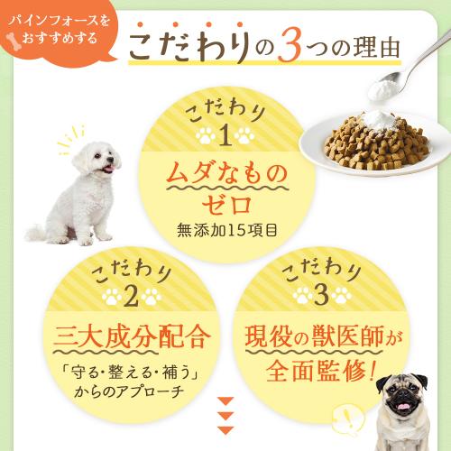 パインフォース【15日分】_0012