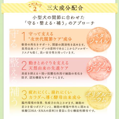 パインフォース【15日分】_0012