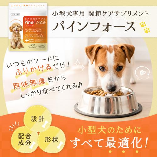 パインフォース【15日分】_0012